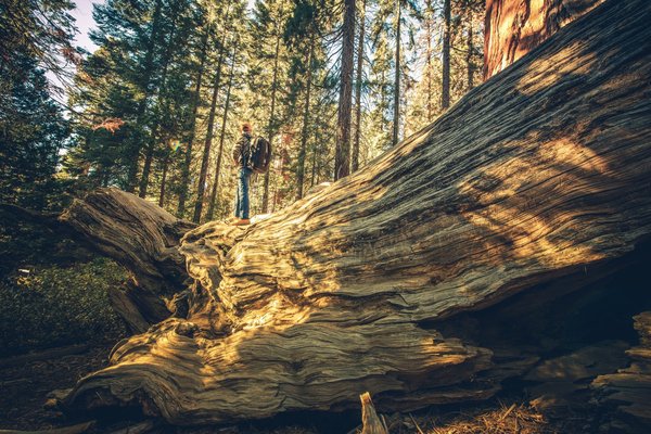 Comment explorer les marchés nocturnes traditionnels de Taipei, Taïwan ?